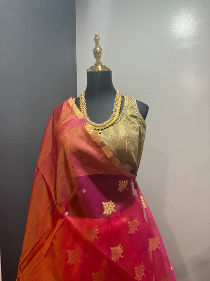Chanderi Organza Aboli Saree