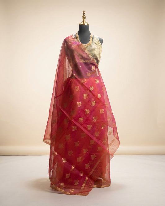 Chanderi Organza Aboli Saree