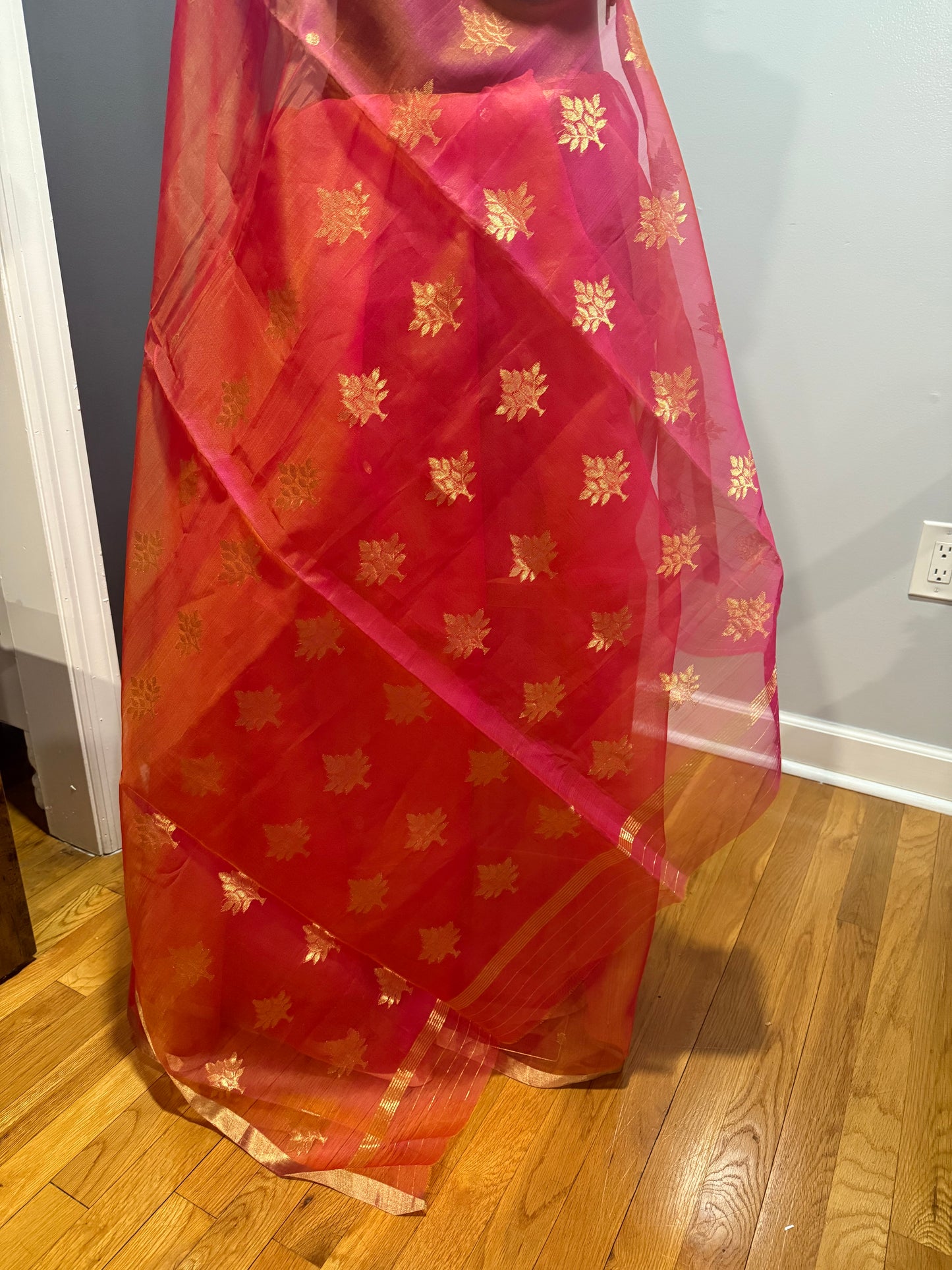 Chanderi Organza Aboli Saree