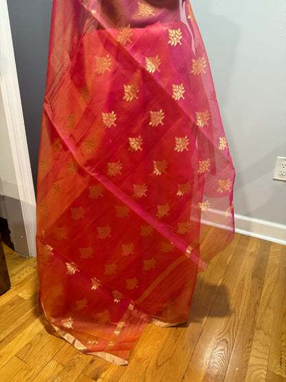 Chanderi Organza Aboli Saree